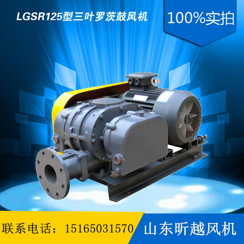 供應(yīng) 互惠讓利 羅茨風(fēng)機(jī)廠家直銷氣力輸送污水處理養(yǎng)殖供氧設(shè)備高清圖片 高清大圖